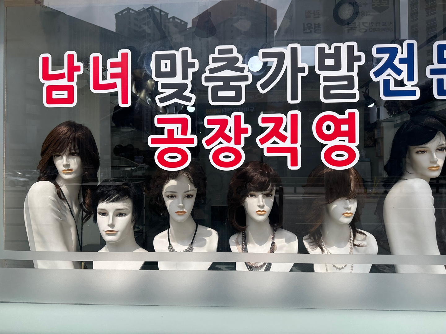 235149625_kFz9XsaG_c4a60a04fdd51304a0134ea81cdca5f888e3a6ad.jpg 이미지크게보기